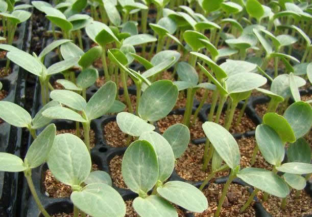 ��������Ҫ���������|�x�ò�������һ���W������x��������|