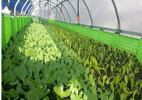 ��ʲôҪ��������|��������|��ʲô����